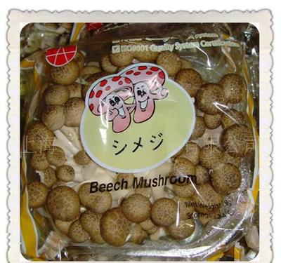 【廠家直供優質蟹味菇 三晉擁有蟹味菇種植基地 種植技術】價格_廠家_圖片