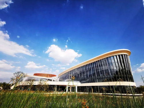 上海音樂(lè)學(xué)院與奉賢開(kāi)展多元合作,將結(jié)累累碩果