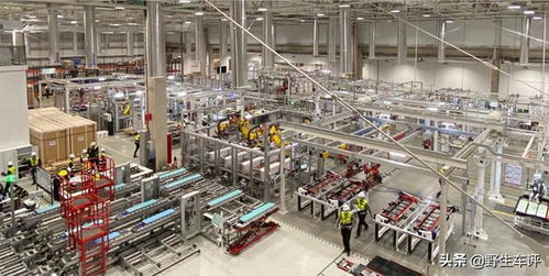 特斯拉降價是一定的,買不買自己決定