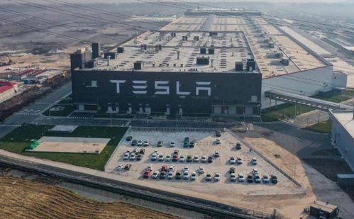 缺乏責任心的特斯拉,將事故歸結于車主需要教育